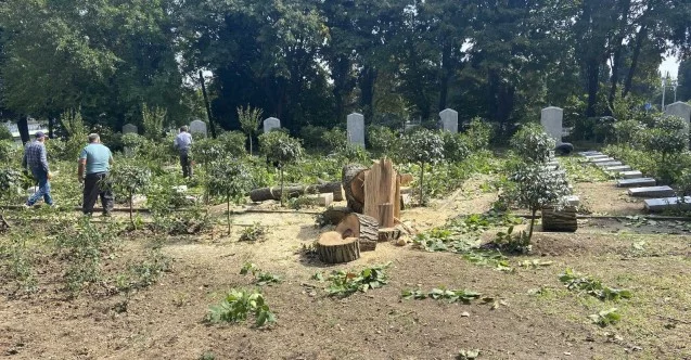 Edirnekapı Şehitliğinde İBB’nin kestiği ağaçlar mezarlığın üzerine devrildi