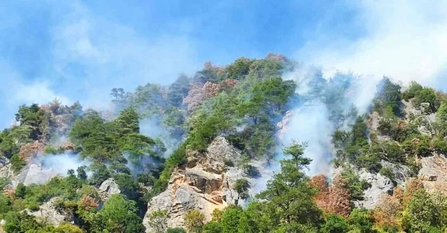 Ekipler, Osmaniye’deki yangın bölgesine karadan hortum döşüyor