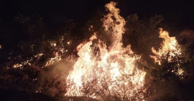 Elazığ’da orman yangınına müdahale sürüyor