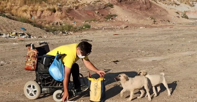 Engelli genç hayatını sokak hayvanlarına adadı