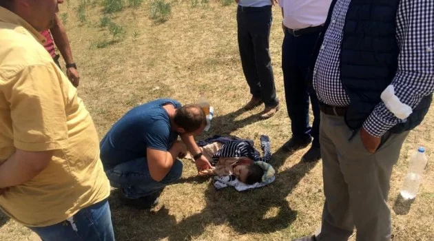 Erzincan’da trafik kazası: 1 ölü, 4 yaralı