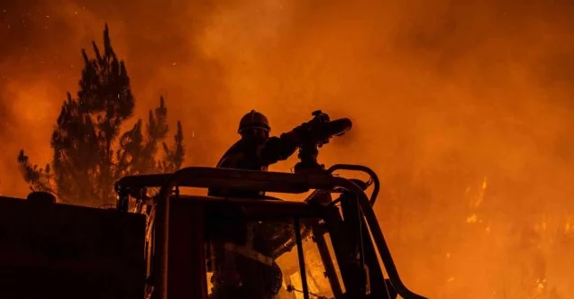 Fransa’daki orman yangınında 6 bin 800 hektar alan küle döndü
