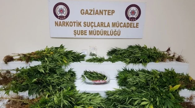 Gaziantep’te uyuşturucu satıcılarına operasyon: 11 tutuklama