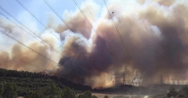 Gelibolu’daki yangın şiddetli rüzgarın etkisiyle büyüyor