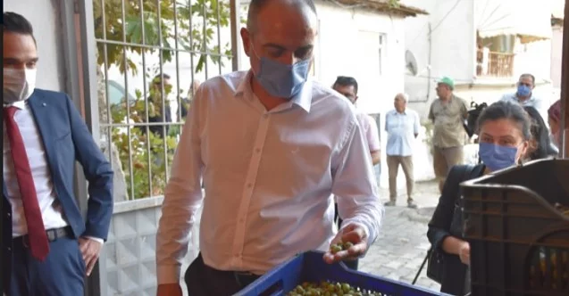 Gemlik Belediyesi zeytin ödemelerine başladı