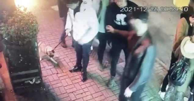 “Gorbi” isimli köpeği çalan hırsızları Beşiktaş polisi yakaladı: Köpek 4 farklı şahsa satılmış