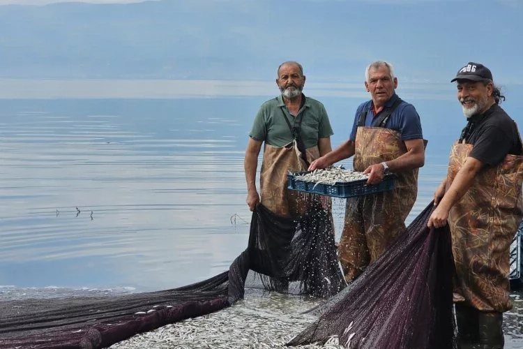 Gümüş balığının ihracat serüveni başladı
