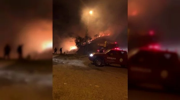 Hatay’da orman yangını : 1 hektar alan zarar gördü