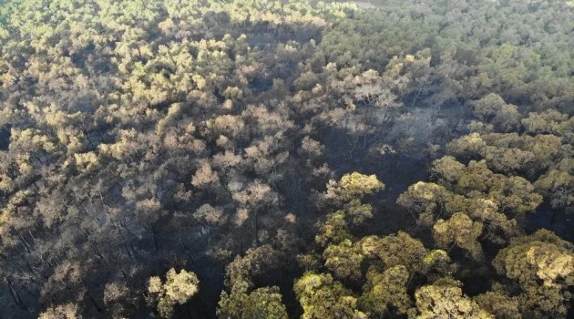 Heybeliada’da yanan ormanlık alan havadan görüntülendi
