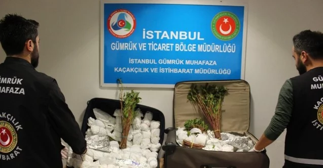 İstanbul Havalimanı’nda 208 kilogram Khat cinsi uyuşturucu ele geçirildi