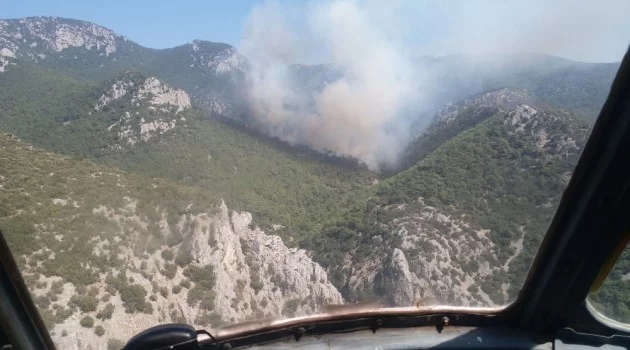 İzmir’de orman yangını: Ekipler müdahale ediyor
