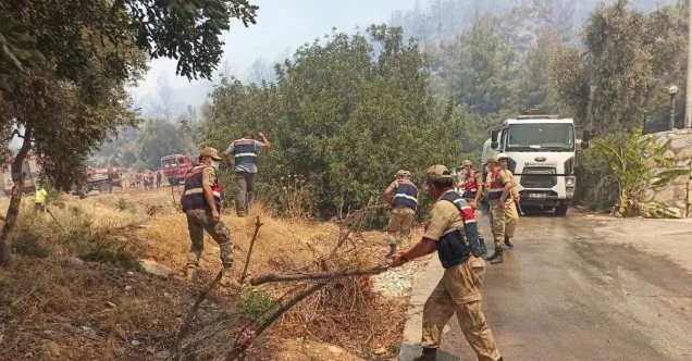 Jandarma Genel Komutanlığı 2 bin 310 personeliyle yangınla mücadele ediyor