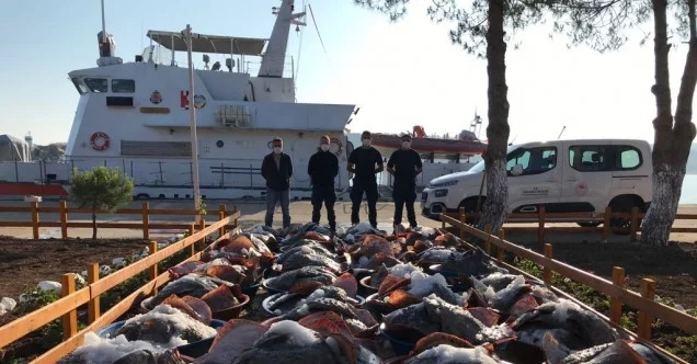 Kaçak avlanan 3 ton kalkan balığına Sahil Güvenlik ekipleri el koydu