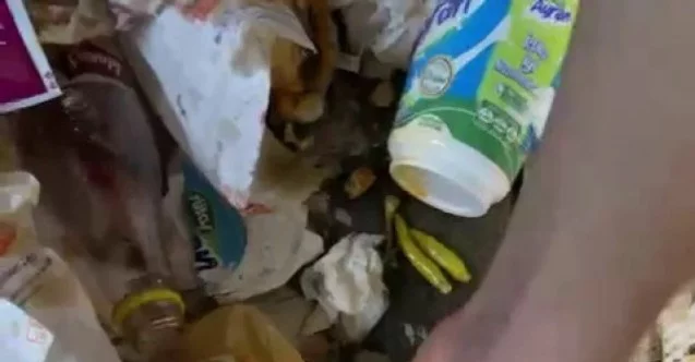 Kadıköy’de tantunicide çöpe dökülen biberleri toplayıp tekrar müşteriye sundular