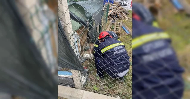 Kafası çitlere sıkışan yavru köpeği itfaiye kurtardı