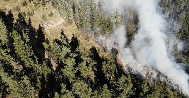 Kastamonu’da 5 günde söndürülen orman yangınları tekrar başladı