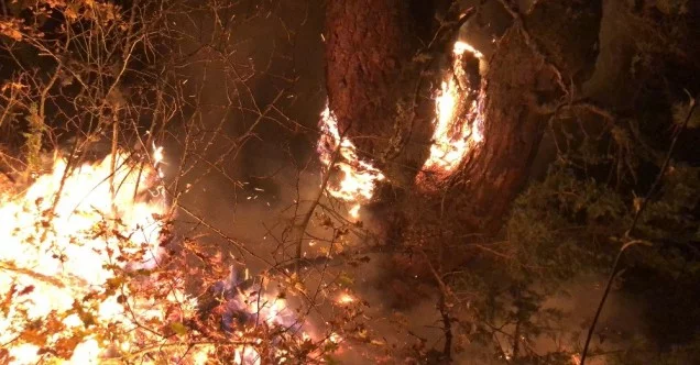 Kastamonu’da çıkan orman yangını kontrol altına alındı