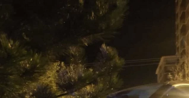 Kastamonu’da otomobil park halindeki ağaca çarptı: 1 ölü, 3 yaralı
