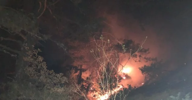 Kastamonu’daki orman yangını yerleşim yerlerini tehdit ediyor