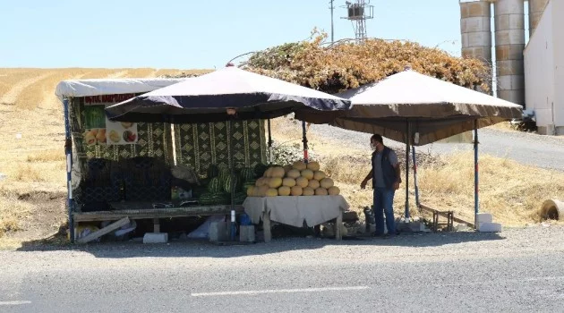 Kavurucu sıcakta karpuz satarak ekmek parasını kazanıyor