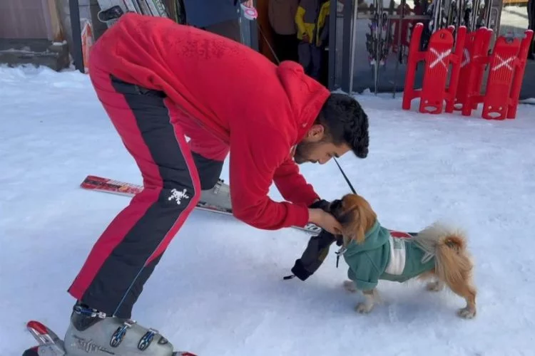Kayakçı önce köpeğe çarptı, sonra köpekten özür diledi