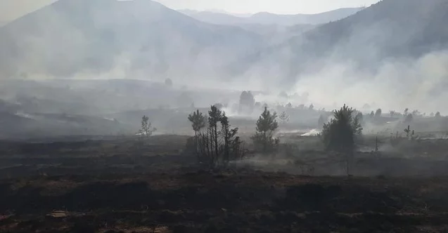 Kayseri’de çıkan yangında 20 hektarlık alan kül oldu