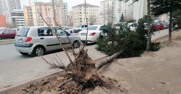 Kayseri’de kuvvetli rüzgar ağaçları söktü, çatıları uçurdu
