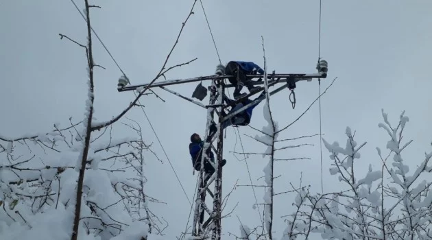 Köylüler elektriksiz kalmasın diye zorlu kış şartlarında direklere tırmandılar