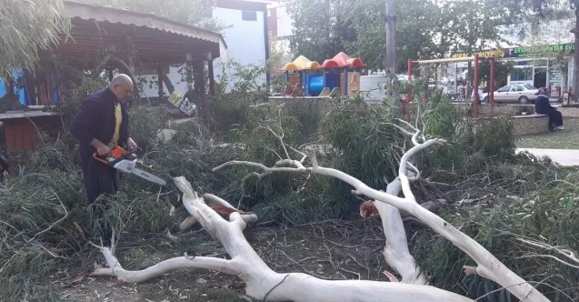 Kozan’da şiddetli fırtına ağaçları devirdi