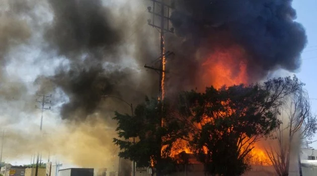 Los Angeles’ta yangın