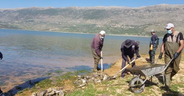 Lübnan’da tonlarca sazan balığı telef oldu