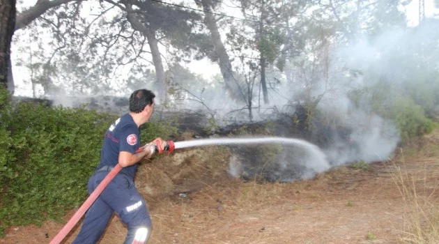 Manavgat’taki orman yangınında 2 dönüm alan zarar gördü