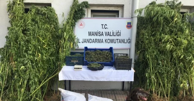 Manisa’da 23 milyon liralık uyuşturucu ele geçirildi