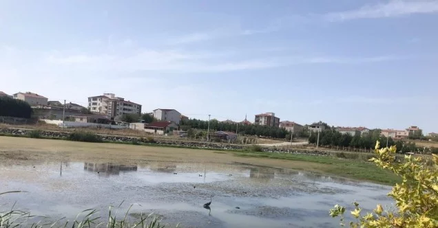 Marmaracık Göleti temizleniyor