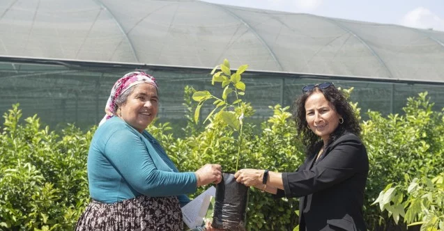Mersin Büyükşehir Belediyesi çiftçilere 4 bin 40 adet avokado fidanı dağıttı