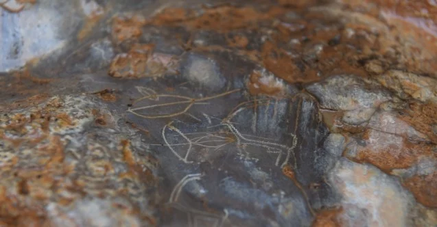 Mersin’de bir mağarada bulunan 8 bin yıllık kaya resimleri için ilk adım atılıyor