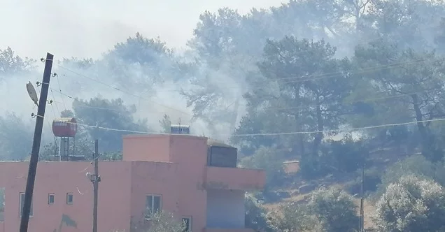 Mersin’de bir orman yangını daha çıktı, oteller, evler ve kamp alanları boşaltıldı