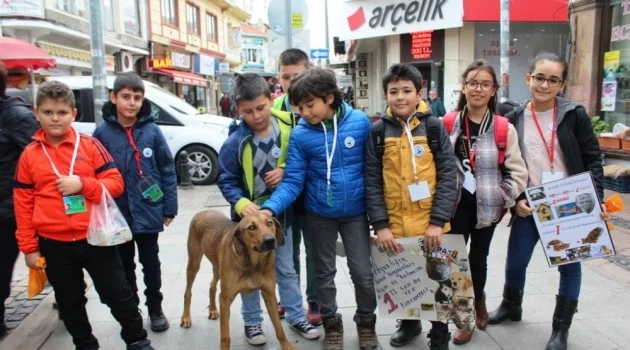 Minik öğrenciler 1 TL’ye kartpostal satarak sokak hayvanlarını doyurdu