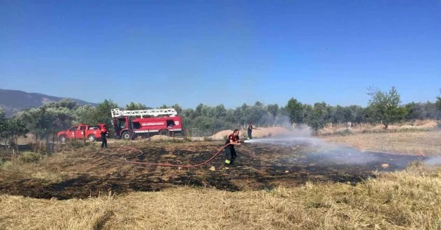 Muğla’da 6 ayda 385 anız yangını