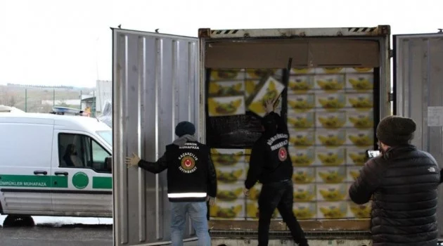 Muz yüklü konteynerden 79 kilo kokain çıktı