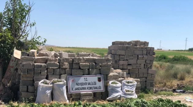 Nevşehir’de 12 kilogram esrar ele geçirildi