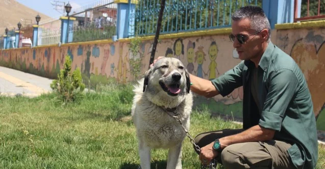 Ölüme terk edilen köpekle engellilerin ‘Dost’luğu devam ediyor