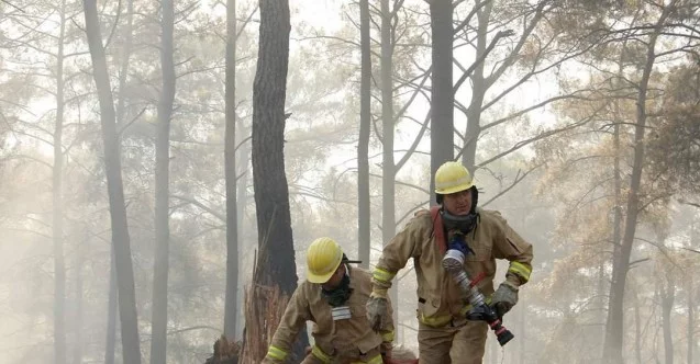 Orman Genel Müdürlüğü açıkladı, orman yangınlarından 134’ü kontrol altında