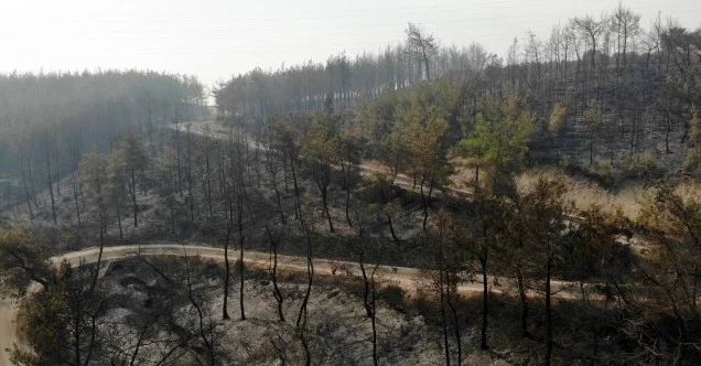 Osmaniye’deki orman yangınında yanan alanlar havadan görüntülendi