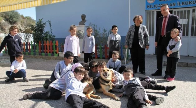 (Özel) Alanya’da engelli köpek ‘Şirin’ öğrencilerin ilgi odağı oldu