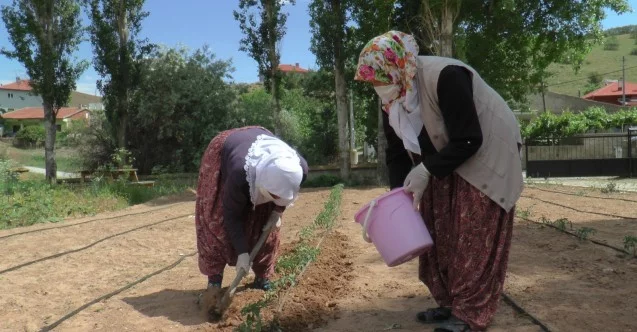 (ÖZEL) Çiftçi kadınlar yeni projeleri ile pandemide de üretmeye devam ediyor