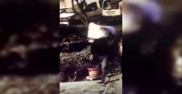 (Özel) İstanbul’da pes dedirten hırsızlık: Kardan adamı çaldılar