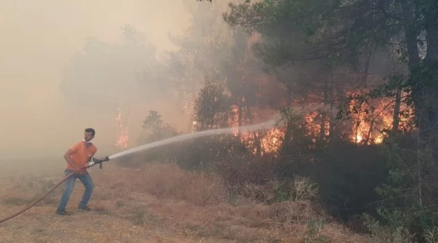 Sakarya’da orman yangını