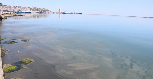 Samsun Limanı’ndaki kirlilik büyüyor