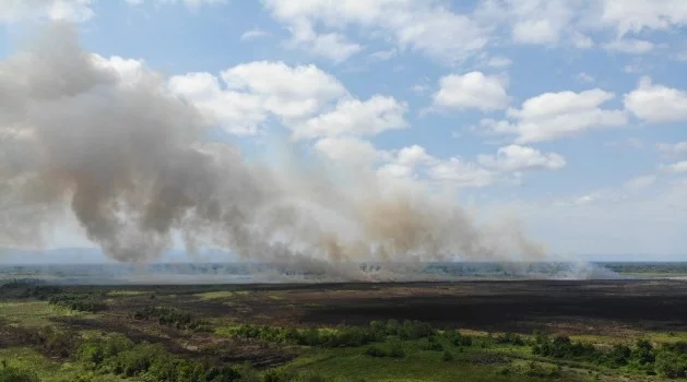 Sazlık yangınında 200 hektarlık alan zarar gördü